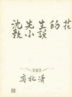 沈先生的花式管教小说