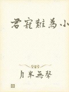 君宠难为小说