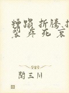 糟蹋 折腾 撕裂 疼 死 哀求封面