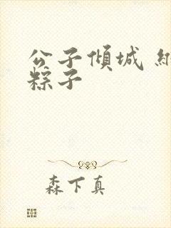 公子倾城 维和粽子