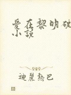 爱在黎明破晓前小说封面