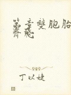 第章双胞胎姐妹齐飞