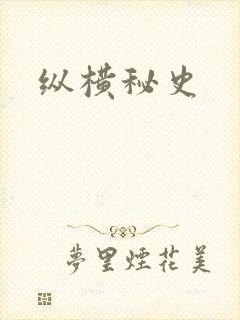 纵横秘史封面