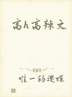 高h高辣文封面