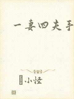 一妻四夫手记封面
