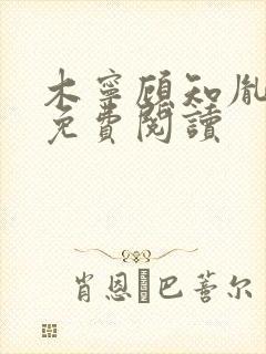 木宁顾知胤小说免费阅读