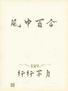 风中百合封面