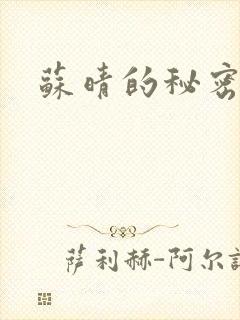 苏晴的秘密小说