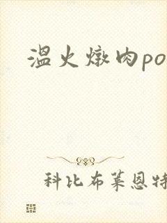 温火炖肉pop
