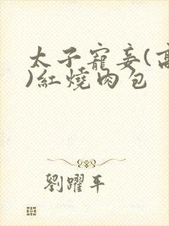 太子宠妾(高肉)红烧肉包