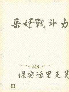 岳婿战斗力封面