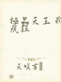 极品天王 我本疯狂封面