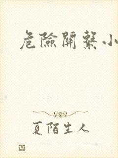 危险关系小说封面