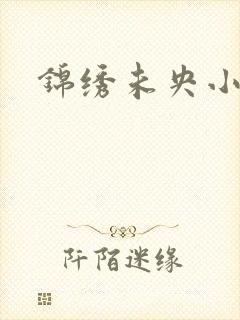 锦绣未央小说
