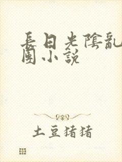 长日光阴乱作一团小说封面