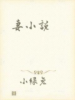 妻小说
