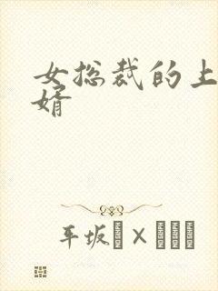 女总裁的上门女婿