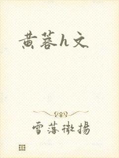 黄蓉h文封面
