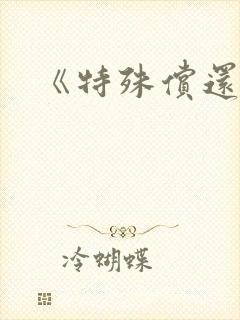 《特殊偿还》封面