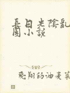 长日光阴乱作一团小说