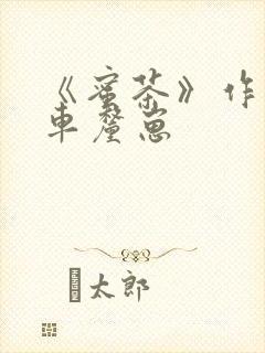 《蜜茶》作者:车厘崽