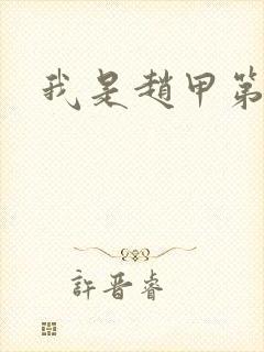 我是赵甲第小说