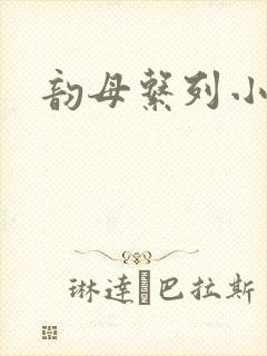 韵母系列小说