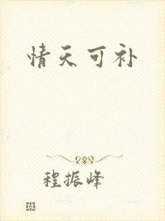 情天可补