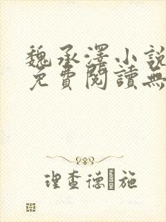 魏承泽小说全文免费阅读无弹窗笔趣
