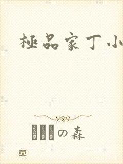 极品家丁小说