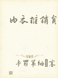 内衣推销员封面