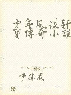 少年风流轩辕大宝传奇小说封面