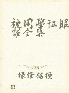 被同学征服的小说全集封面