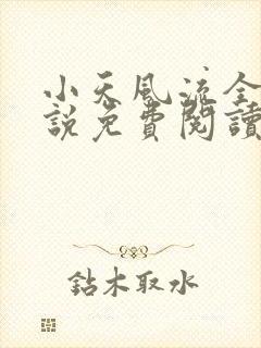 小天风流全集小说免费阅读