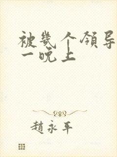被几个领导玩弄一晚上
