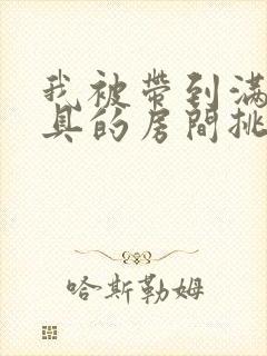 我被带到满是玩具的房间挑调游戏封面