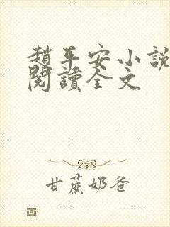 赵平安小说免费阅读全文封面