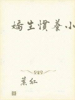 娇生惯养小说