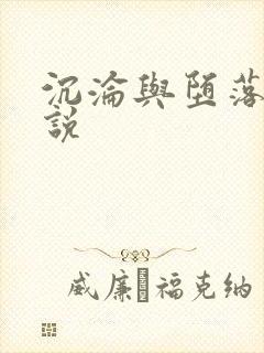 沉沦与堕落的小说