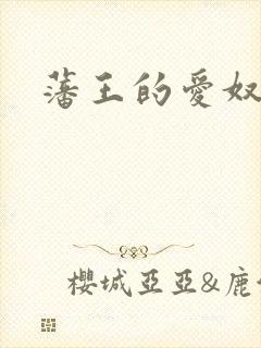 藩王的爱奴