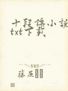 十段锦小说全本txt下载