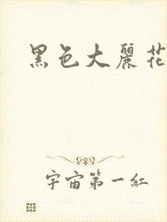黑色大丽花图片