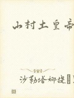 山村土皇帝封面