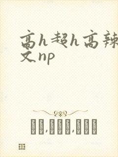 高h超h高辣h文np