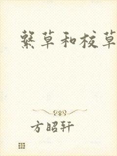 系草和校草