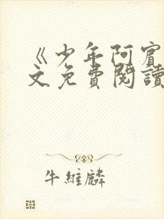 《少年阿宾》全文免费阅读封面