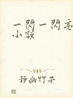 一闪一闪亮星星小说