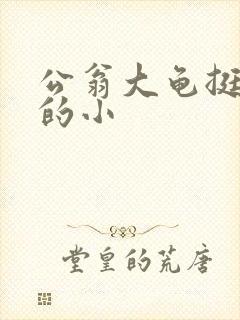 公翁大龟挺进我的小