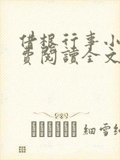 借根行事小说免费阅读全文在线阅笔趣无弹窗封面