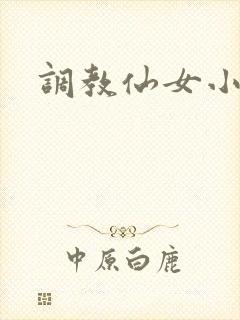调教仙女小说封面